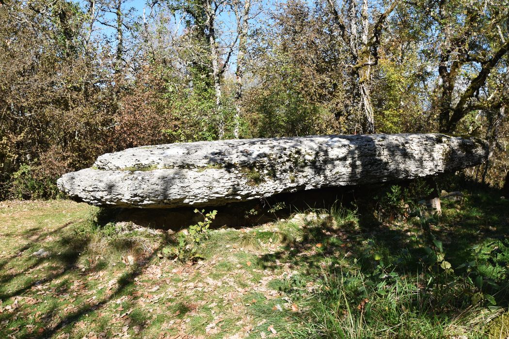 vue générale du dolmen