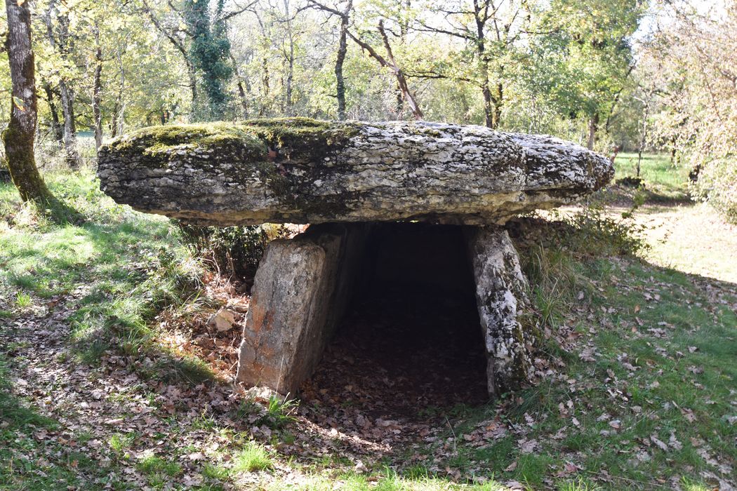 vue générale du dolmen