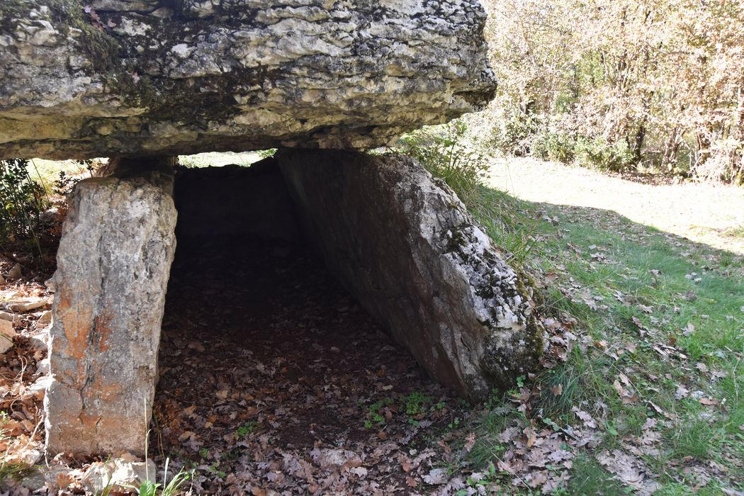 vue partielle du dolmen