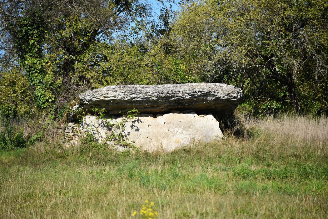 vue générale du dolmen