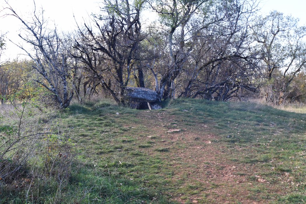 vue générale du dolmen dans son environnement