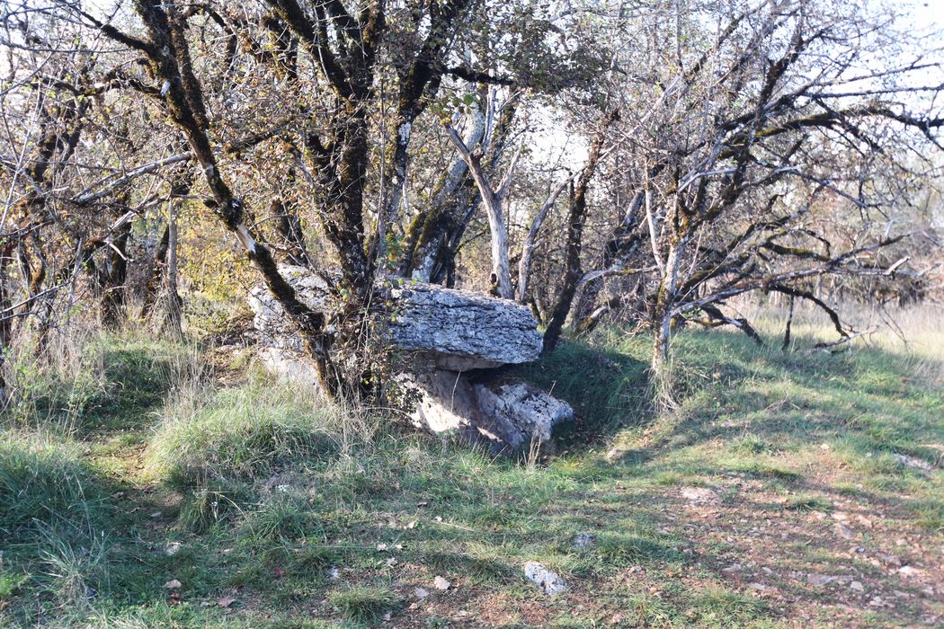 vue générale du dolmen