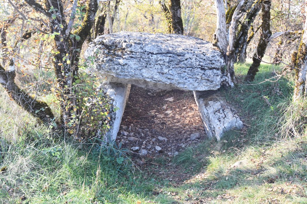 vue générale du dolmen