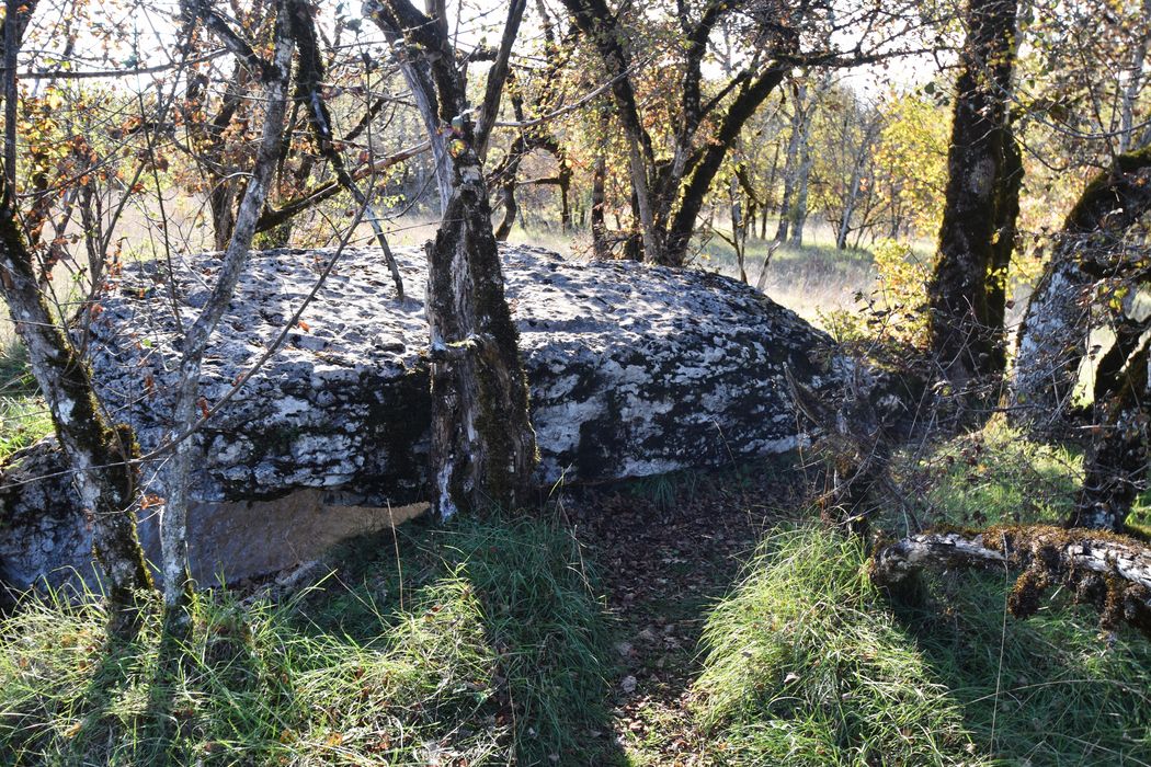 vue générale du dolmen