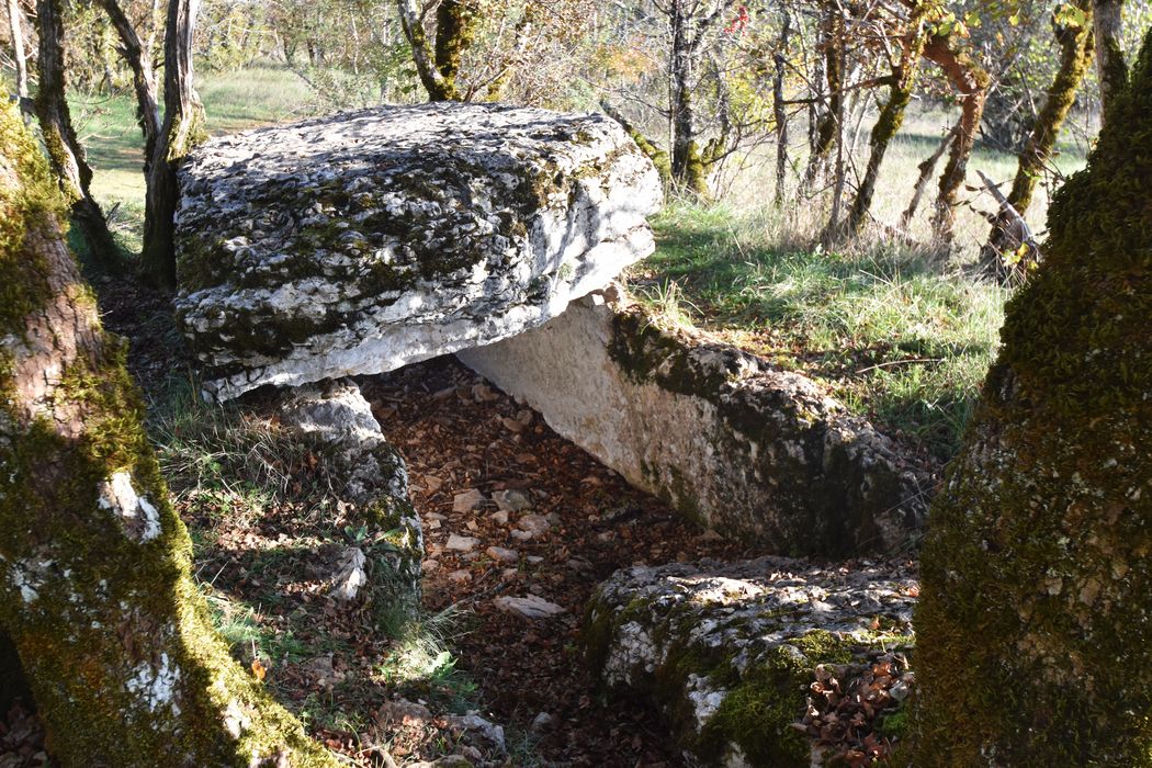 vue générale du dolmen