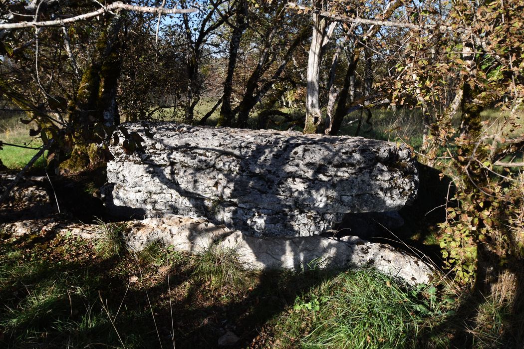 vue générale du dolmen