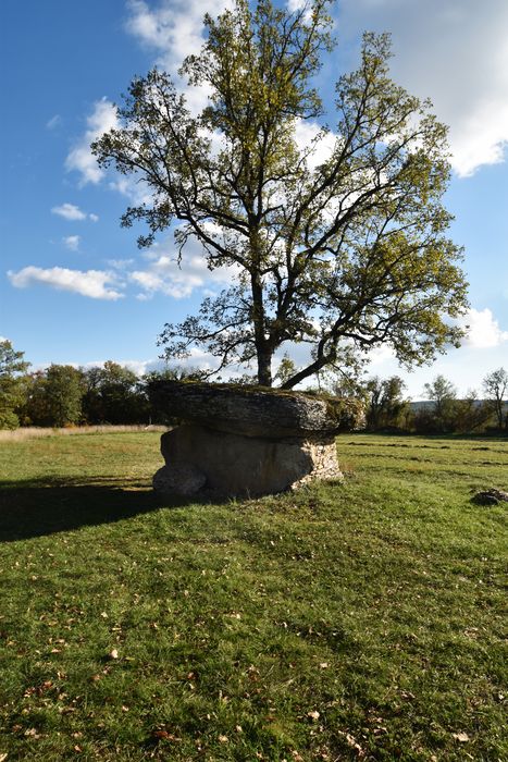 vue générale du dolmen dans son environnement