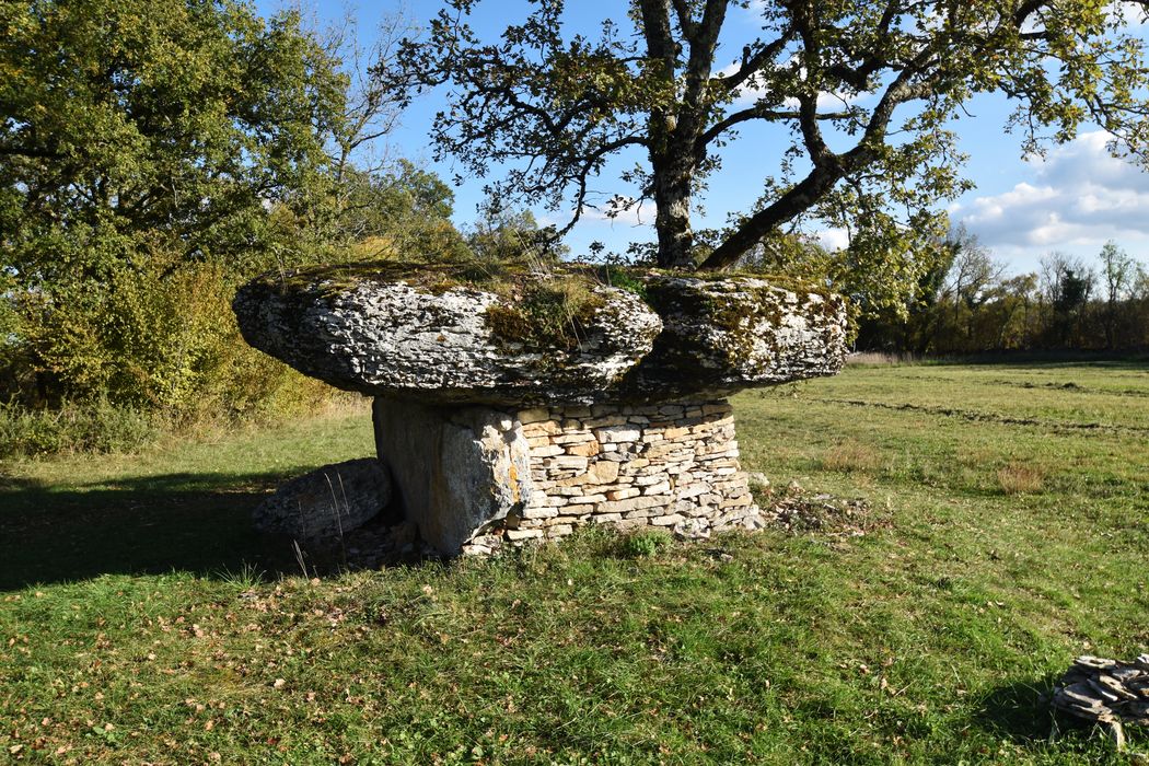 vue générale du dolmen