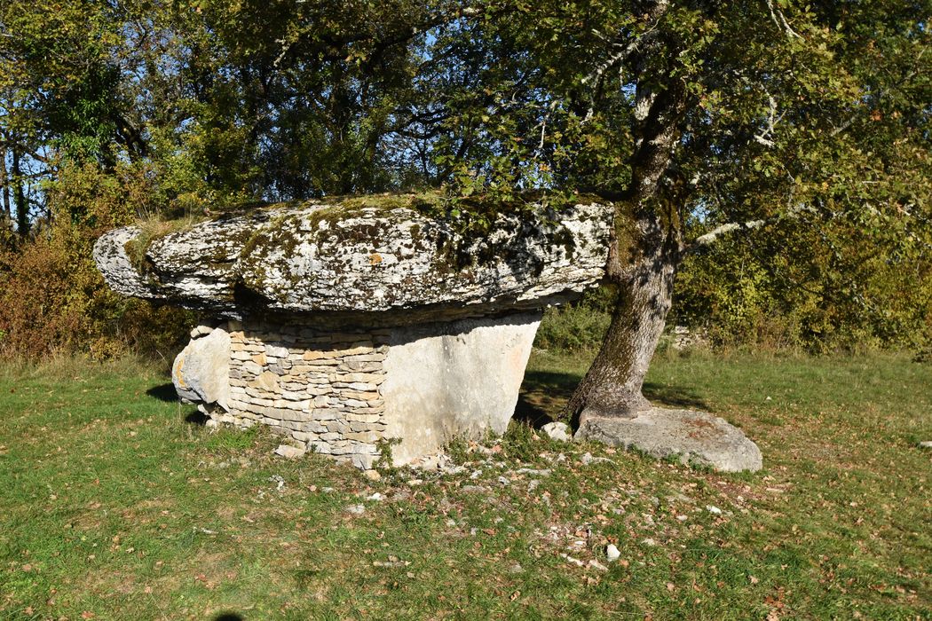 vue générale du dolmen