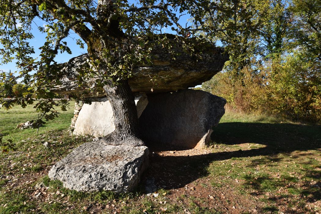 vue générale du dolmen