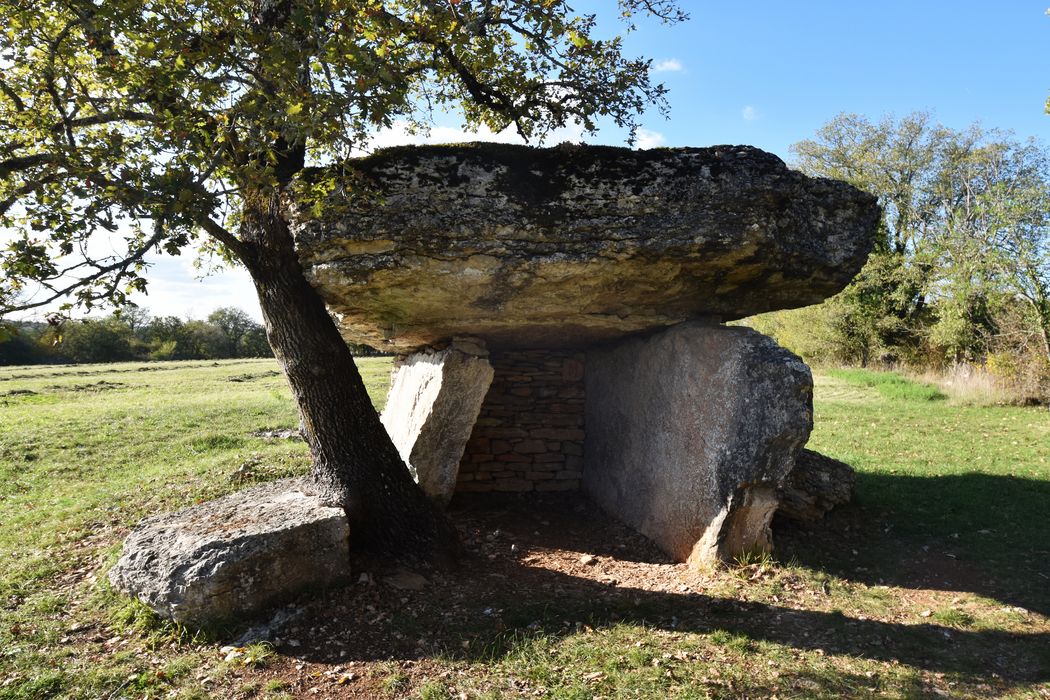 vue générale du dolmen