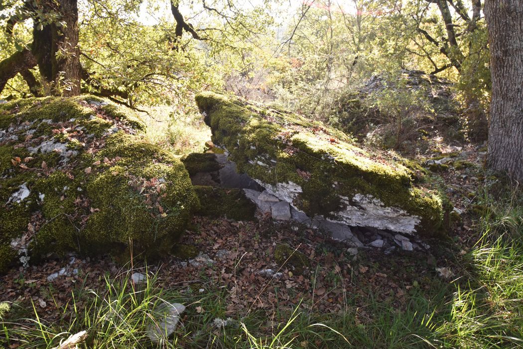 vue générale du dolmen
