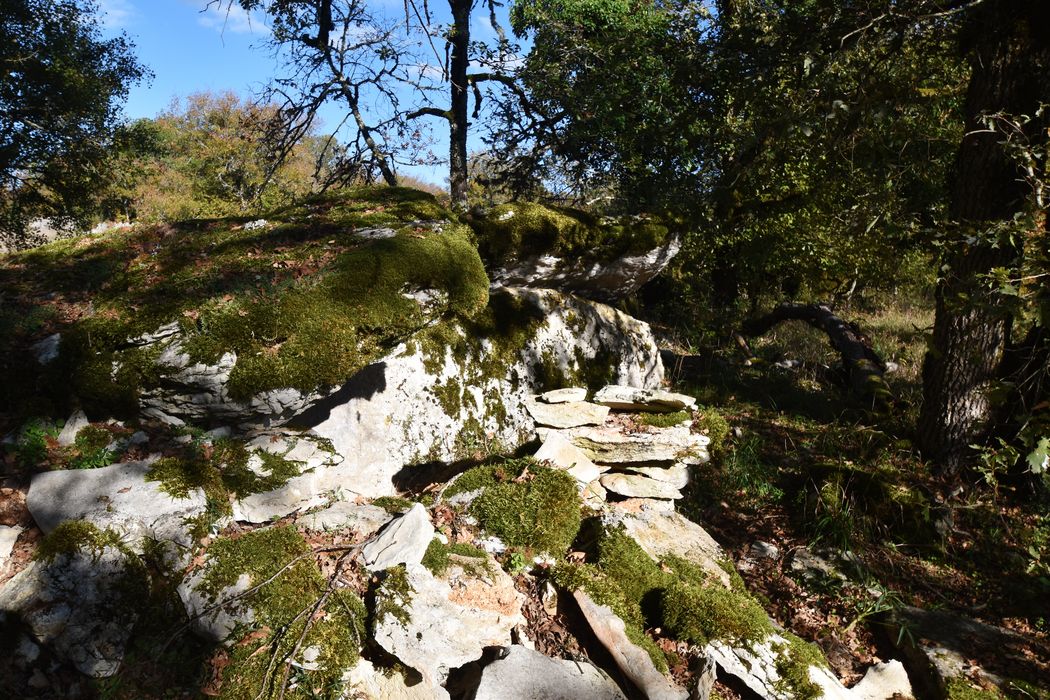 vue partielle du dolmen