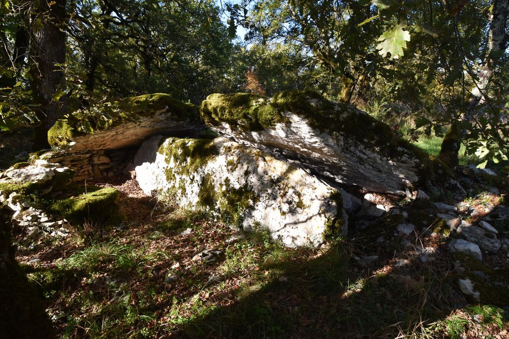 vue générale du dolmen