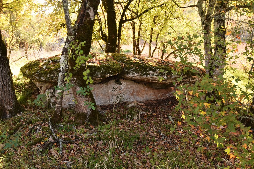 vue générale du dolmen