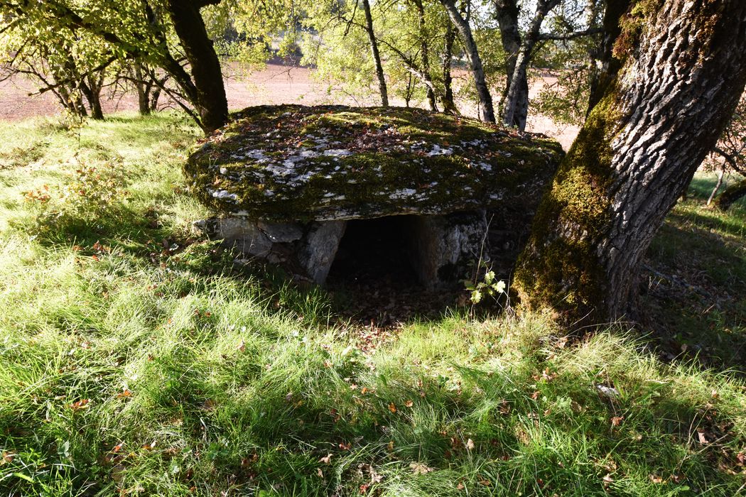 vue générale du dolmen
