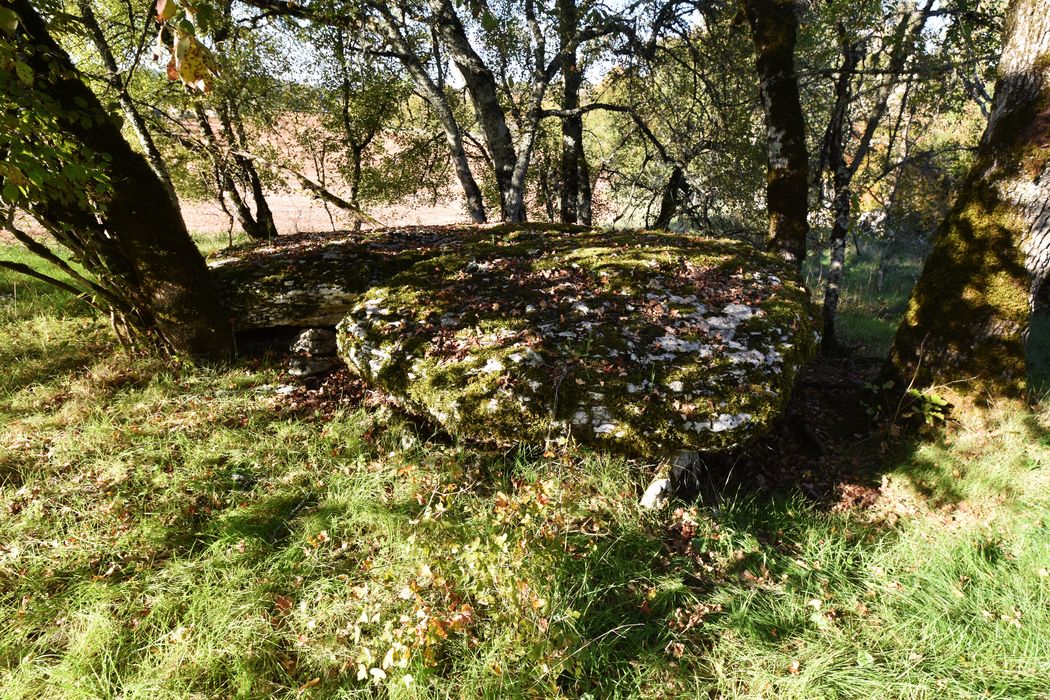vue générale du dolmen