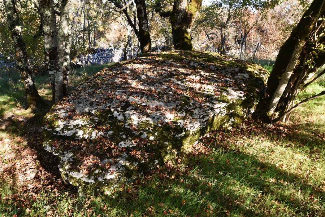 vue générale du dolmen