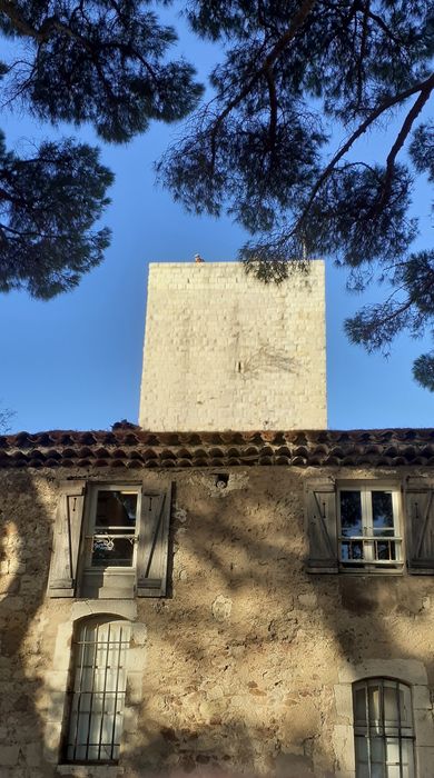 vue partielle de la tour