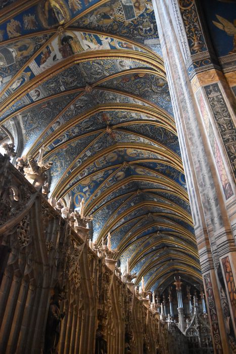 nef, vue générale des voûtes