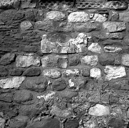 Bas-relief en pierre d'époque romane : Deux oiseaux encastrés dans le mur extérieur sud de l'abside