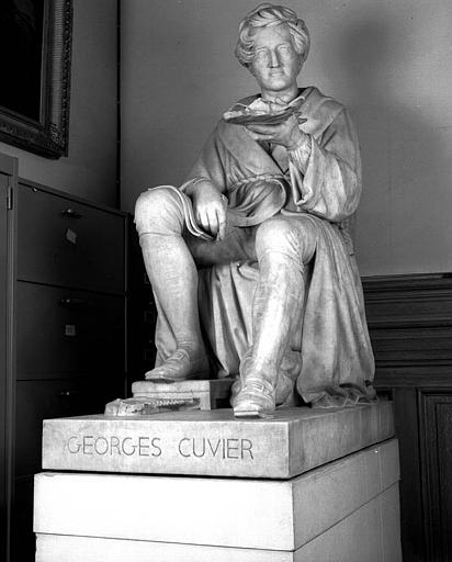 Statue de Georges Cuvier