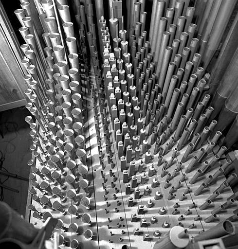 Orgue : Vue d'ensemble de la tuyauterie