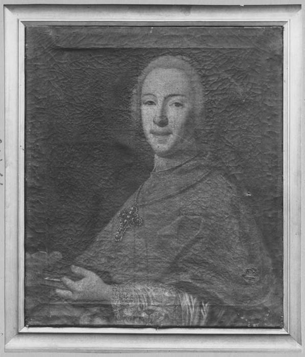 tableau : Portrait de Guillaume Florentin, prince de Salm-Salm (1745-1860), évêque de Tournai