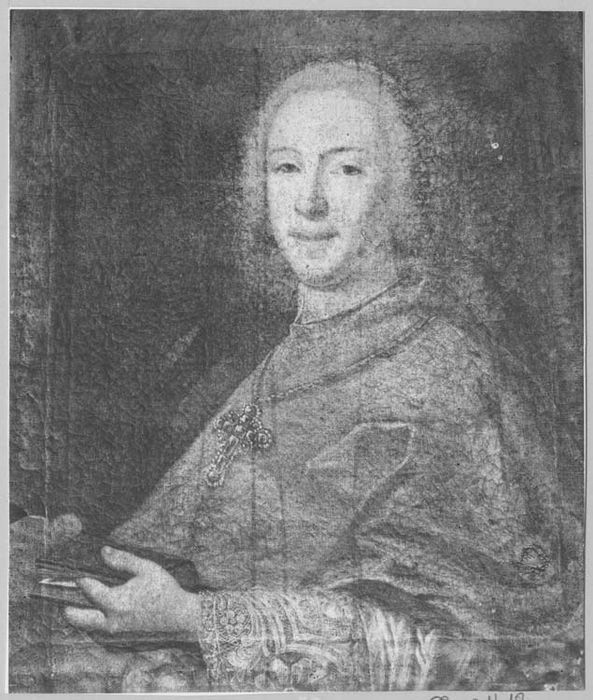 tableau : Portrait de Guillaume Florentin, prince de Salm-Salm (1745-1860), évêque de Tournai