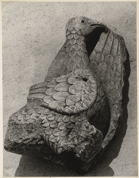 Fragment sculpté avec un oiseau