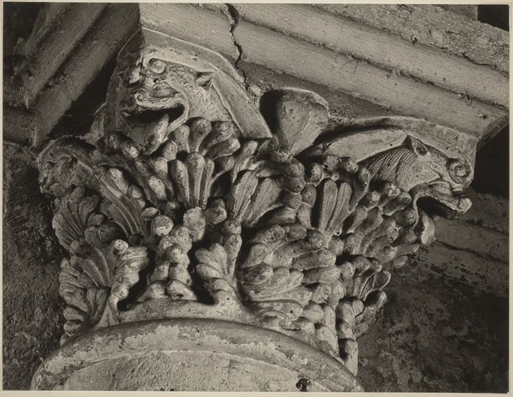 Chapiteau de colonne du cloître : décor végétal