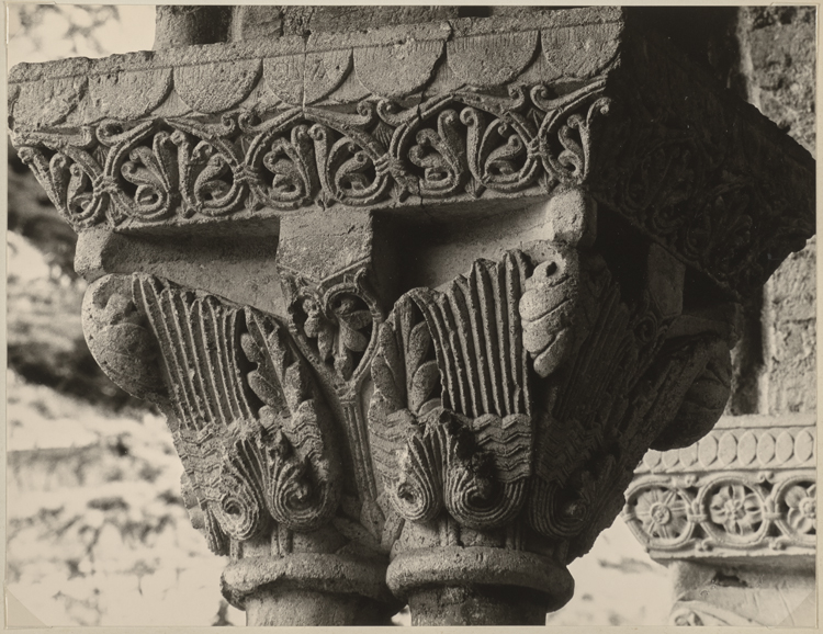 Chapiteau de colonne du cloître : décor végétal