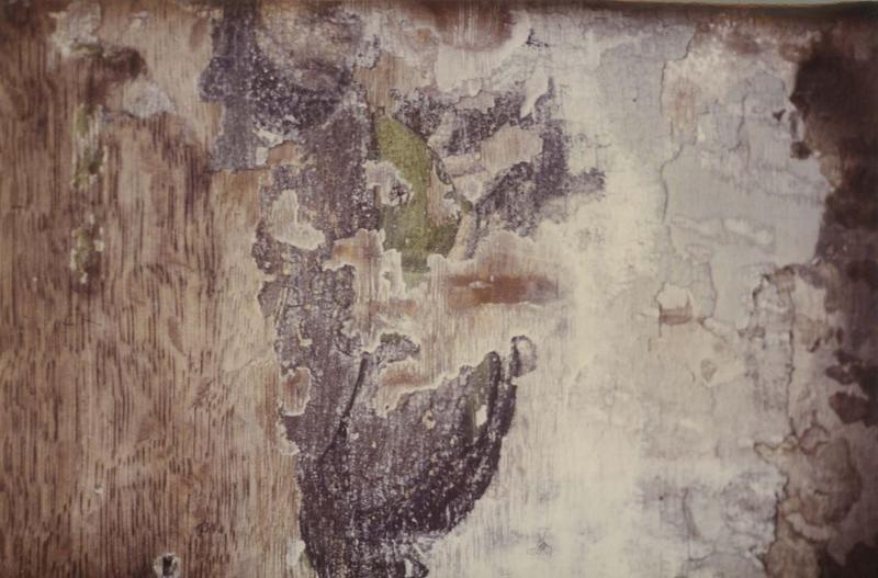 revers du tableau de l'Annonciation, détail