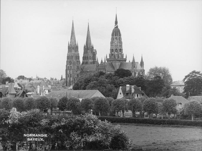 Vue d'ensemble avec rangées d'arbres