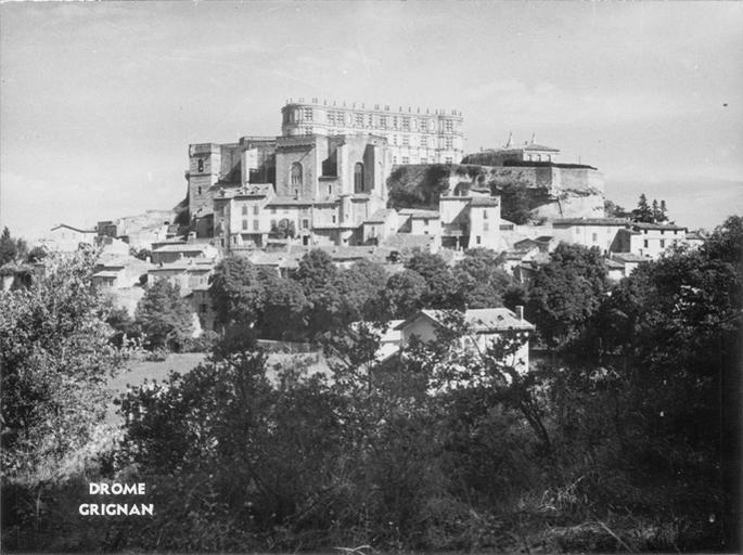 Château, toits de la ville et bosquet d'arbres