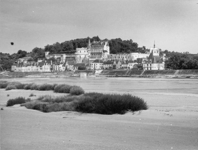 Vue générale : le château et la Loire