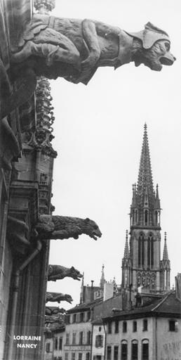 Vue sur les gargouilles de l'église Saint Epvre