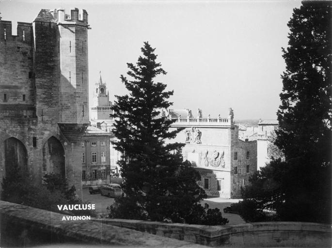 Palais des Papes et sapin