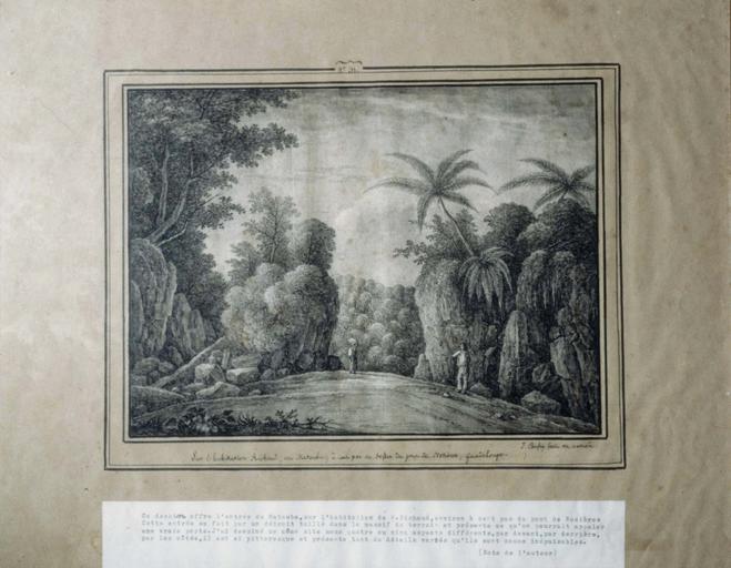 dessin : Sur l'habitation Richard, au Matouba, à cent pas au dessus du pont de Nosières, Guadeloupe (n° inv. 31) - © Ministère de la Culture (France), Médiathèque du patrimoine et de la photographie (objets mobiliers), tous droits réservés