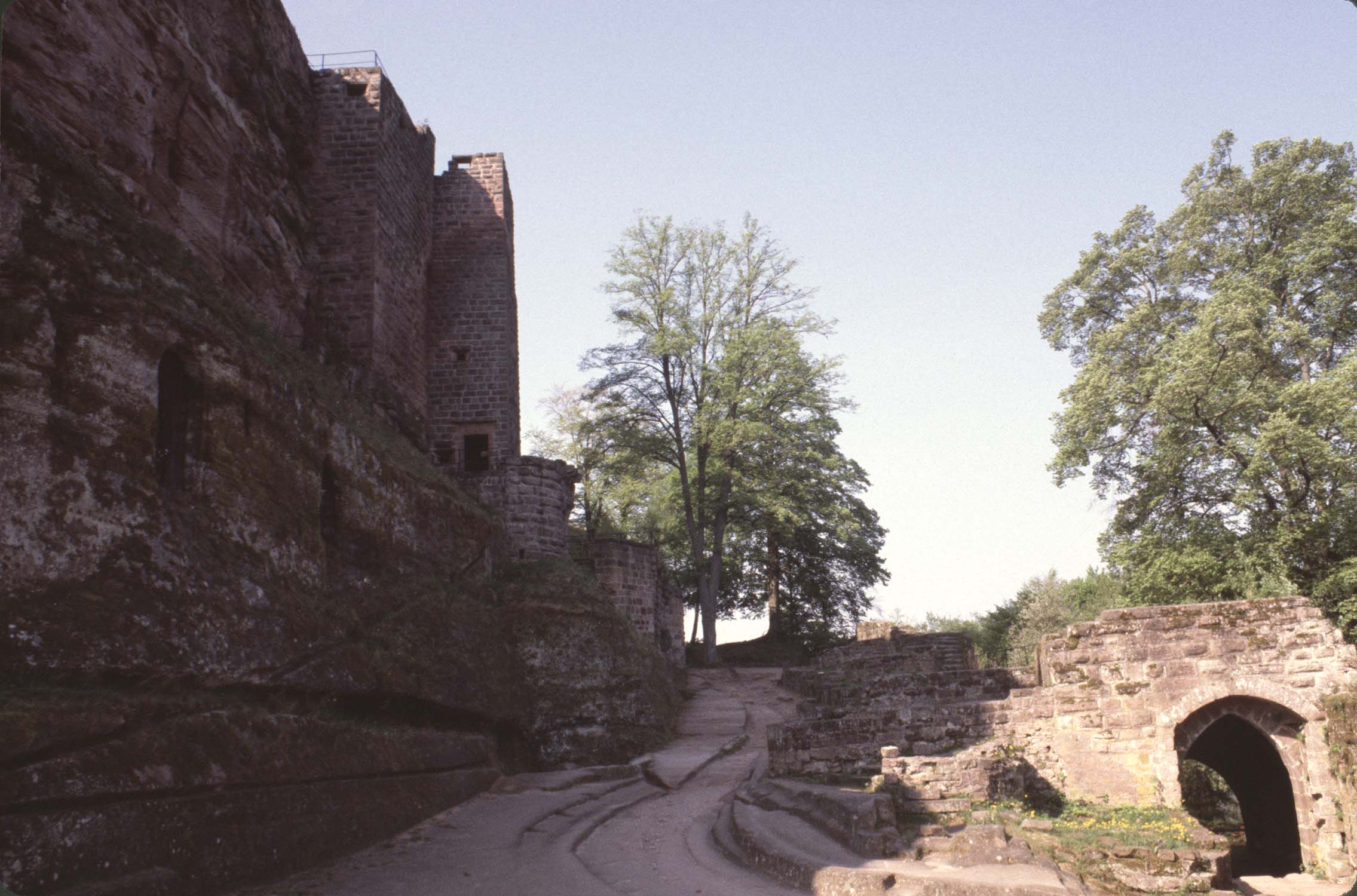 Lice et porte en ogive, vue d'ensemble