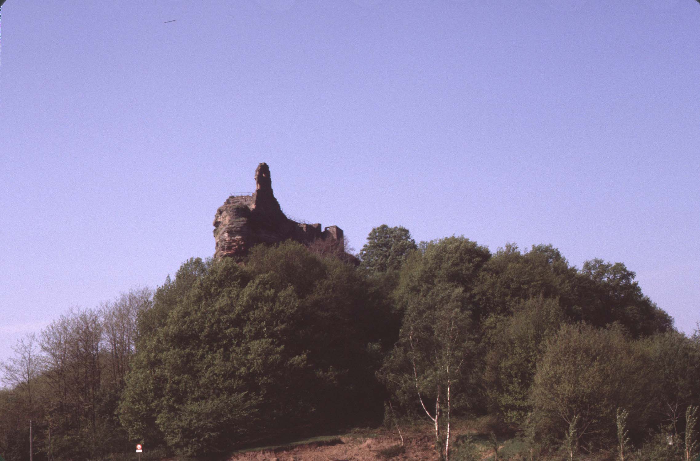 Vestiges derrière les arbres, vue à distance depuis le Gimbelhof