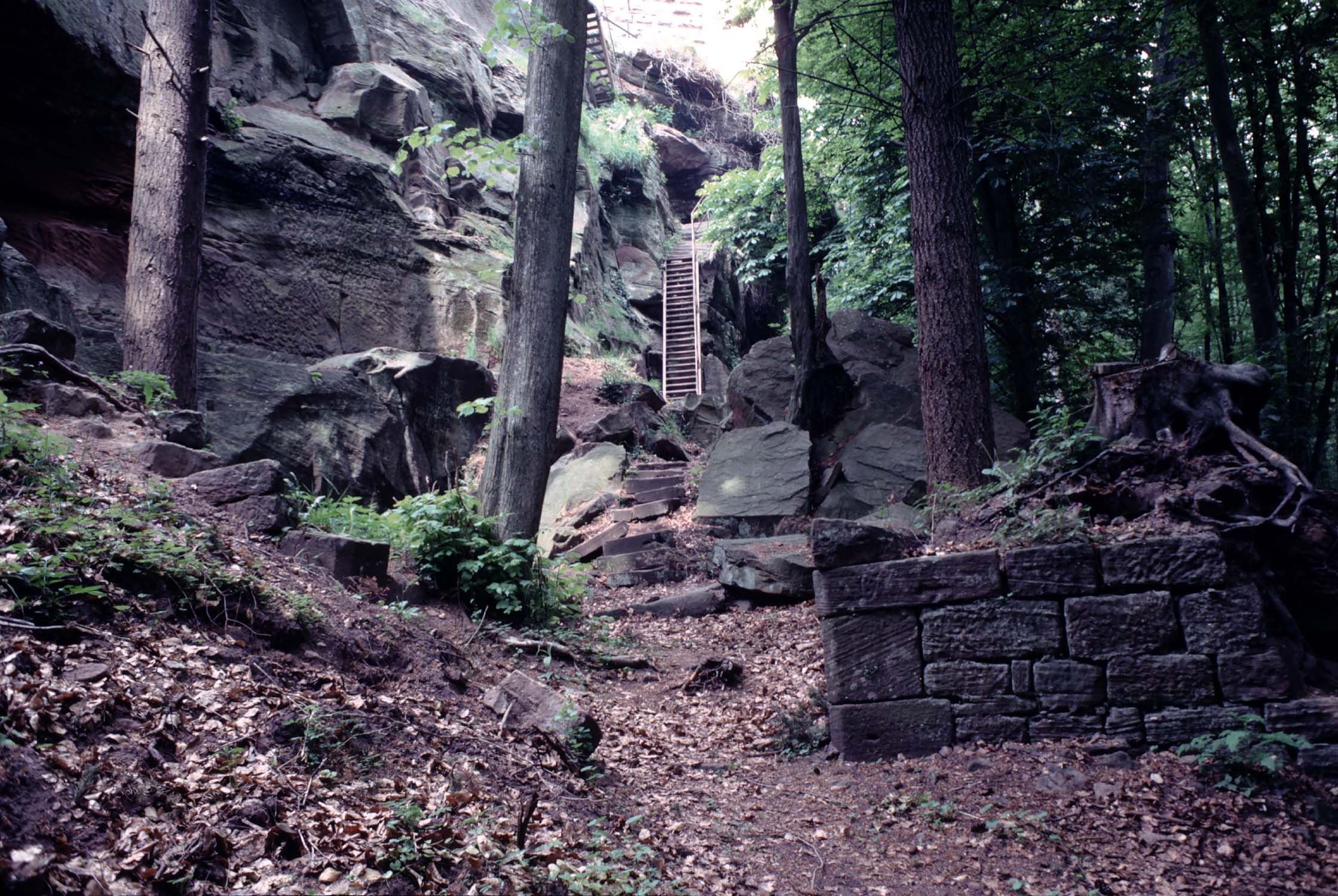 Vestiges de la 1ère porte et lice parmi la végétation (rocher en arrière-plan avec escalier de bois), vue d'ensemble