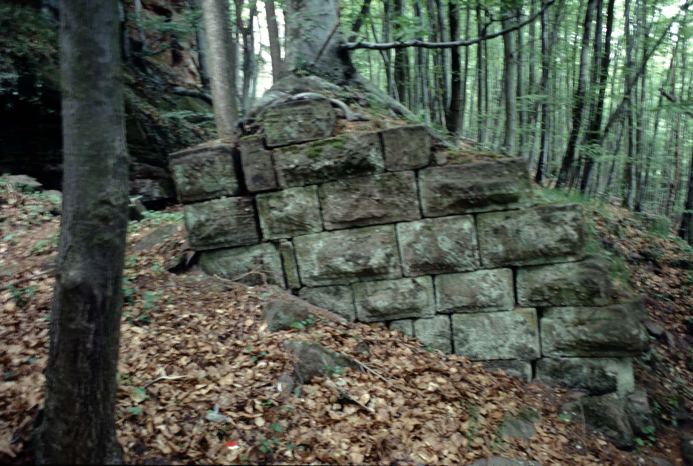 Vestige de la 1ère enceinte dans la forêt