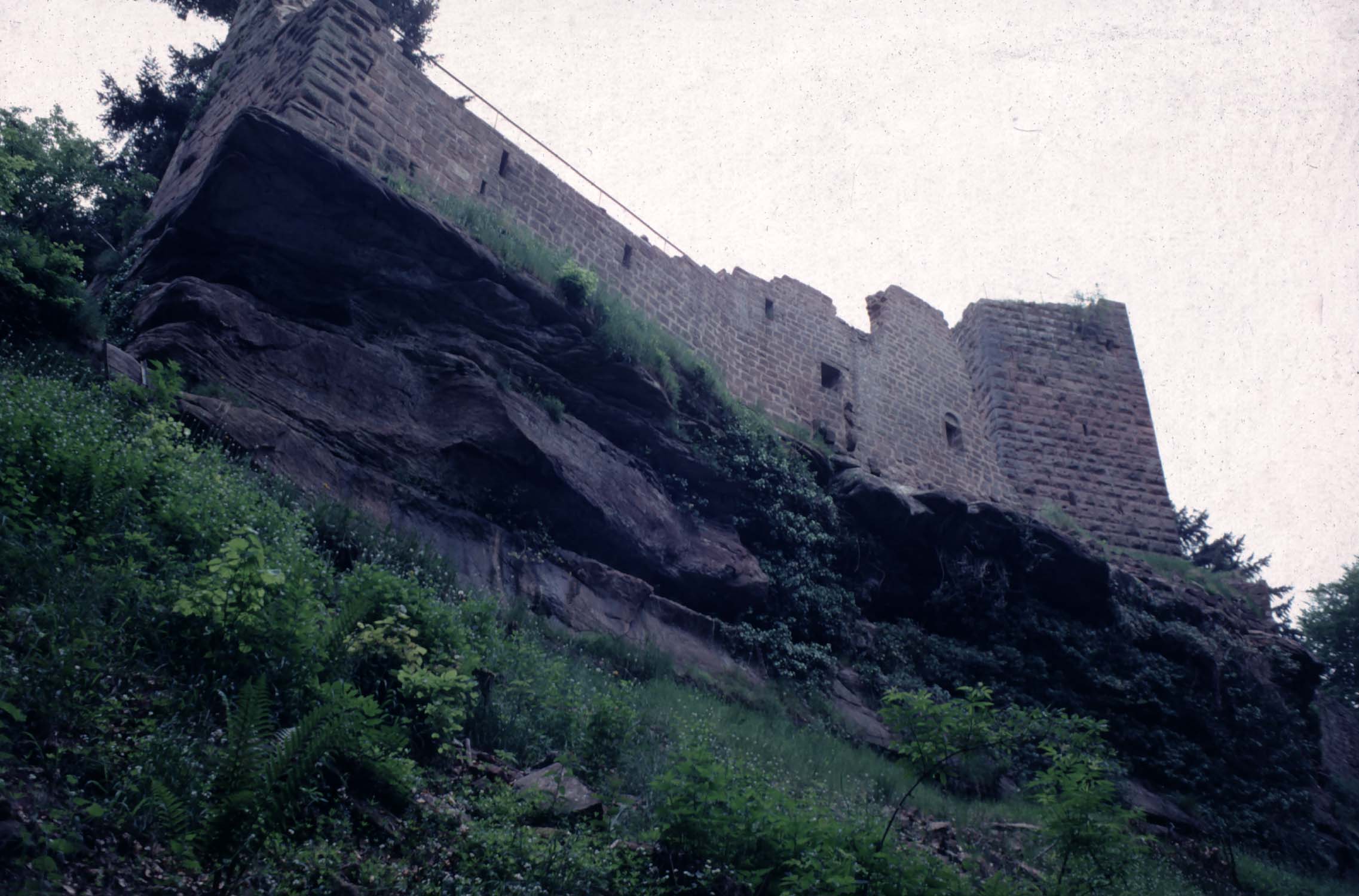 Vestiges du château sur son rocher face nord, vue d'ensemble en contre-plongée