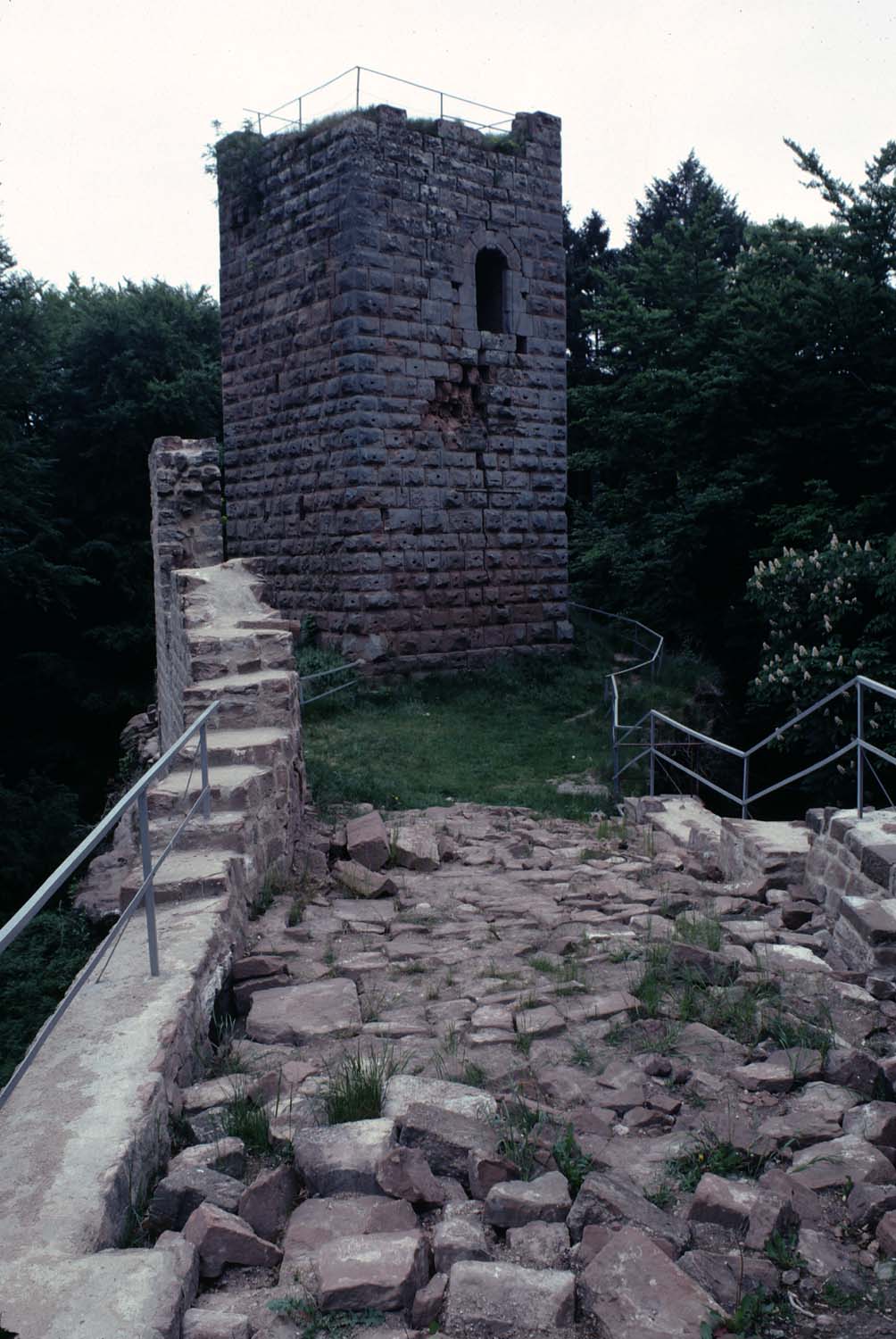 Vestiges de logis (sol) et du donjon