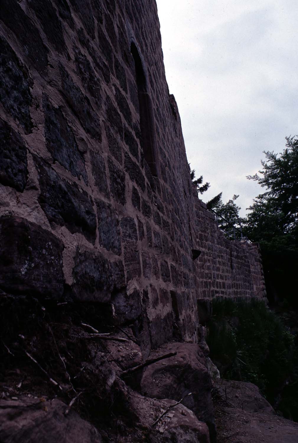 Vestiges de la courtine nord aux pieds de la muraille, vue partielle