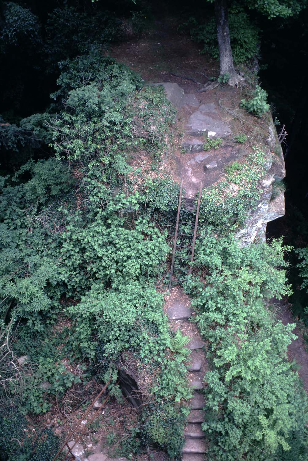 Rocher ouest envahi de végétation et son escalier, vue plongeante