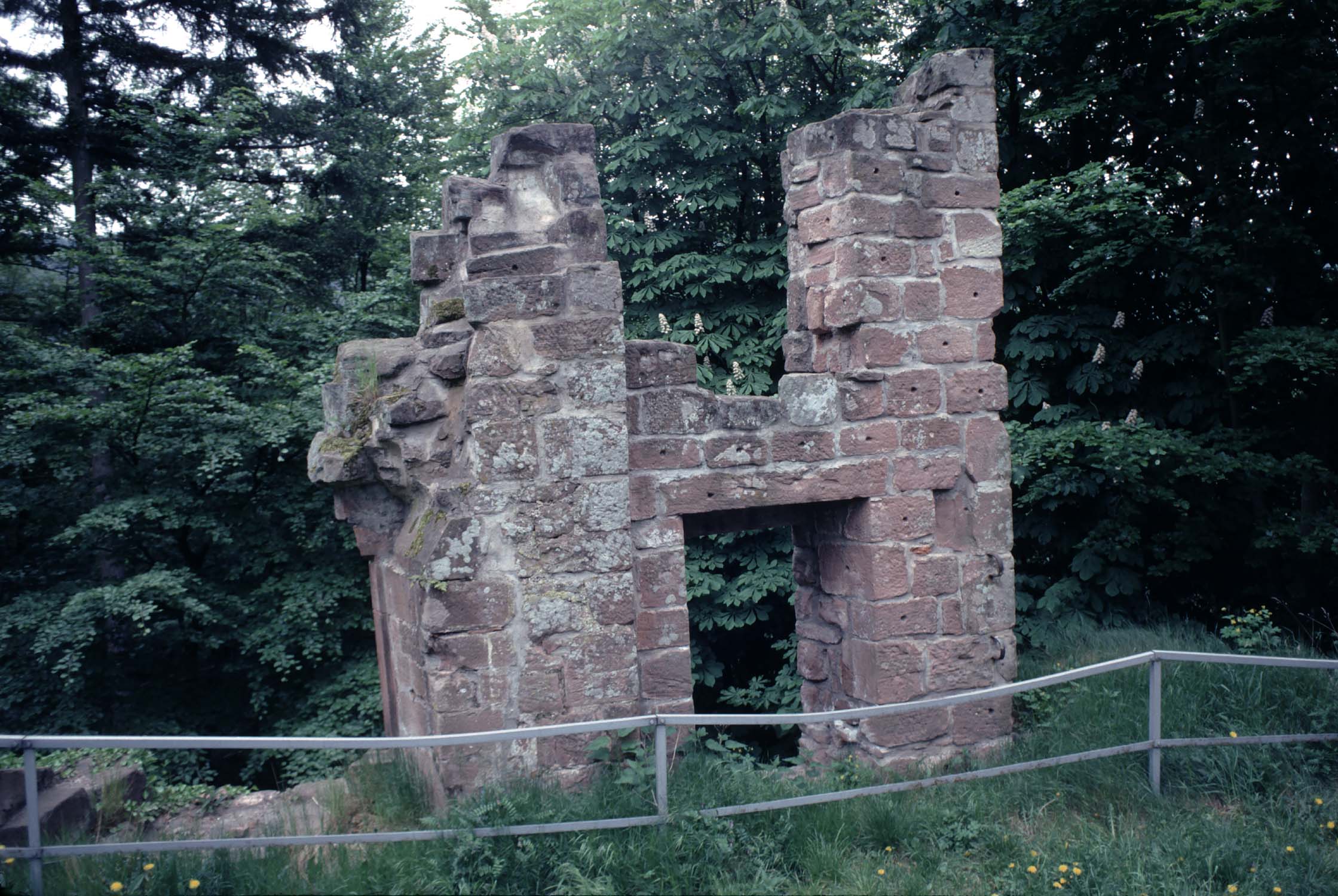 Vestiges de logis avec ouvertures (fenêtres) derrière une barrière de protection, vue d'ensemble dans la végétation