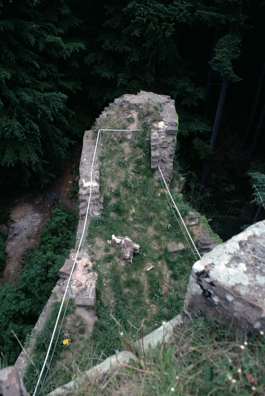 Vestiges du château côté est, vue en plongée avec la végétation