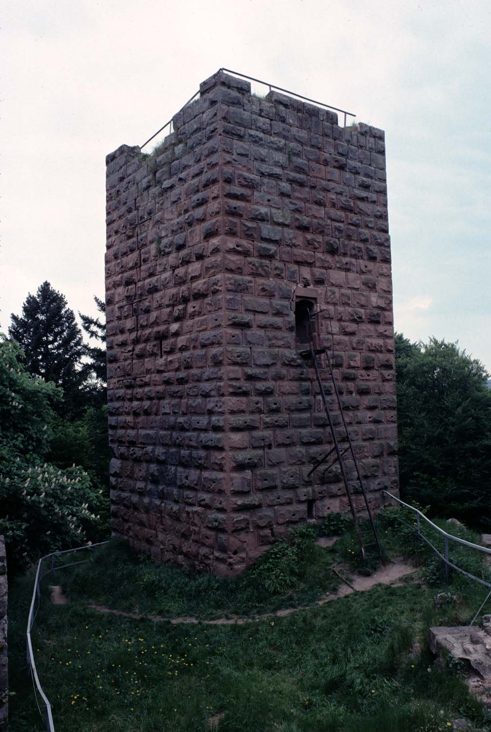 Vestiges du donjon, vue générale avec la végétation